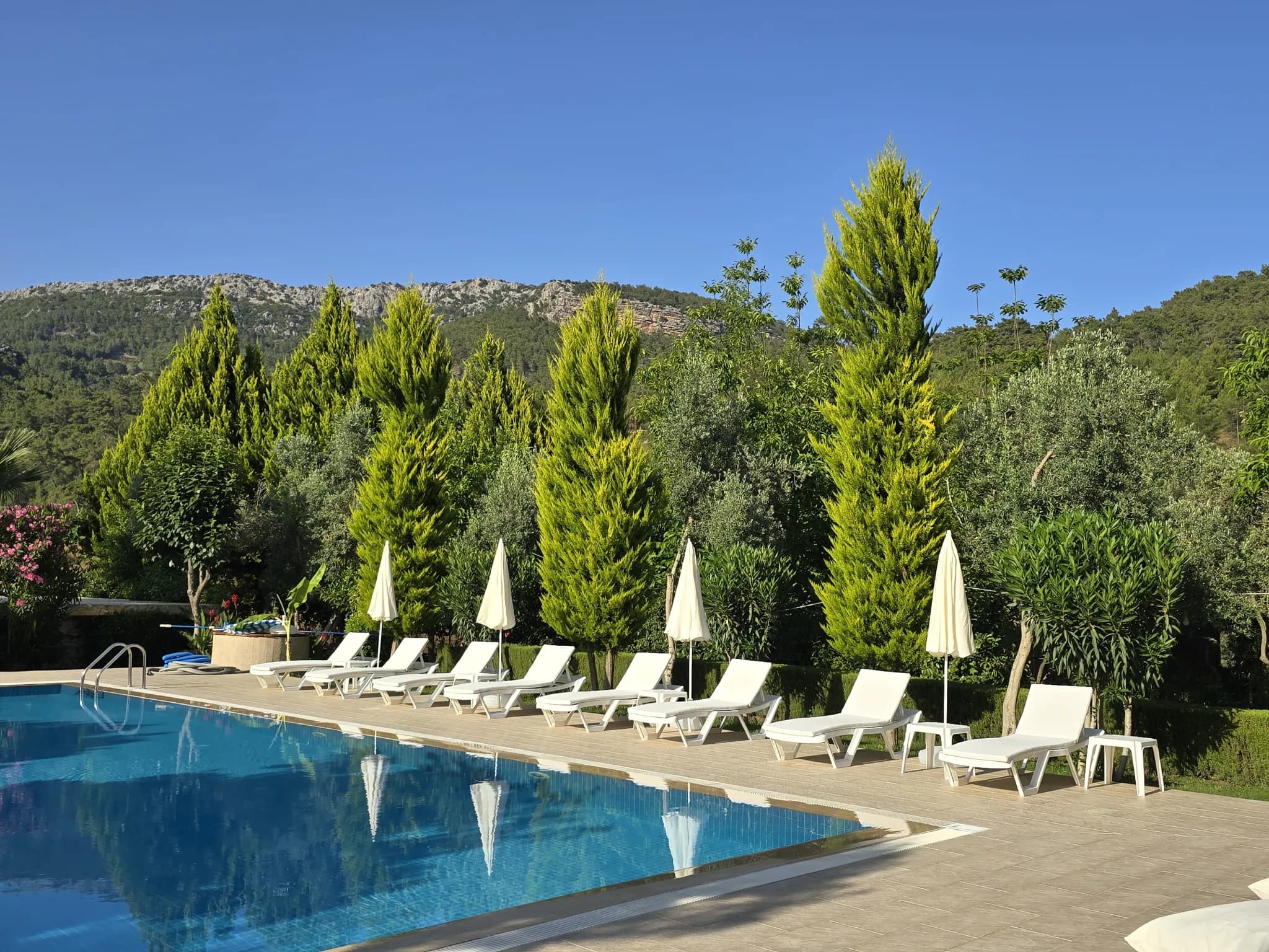 Chef dripping sauce onto a beautifully plated dish