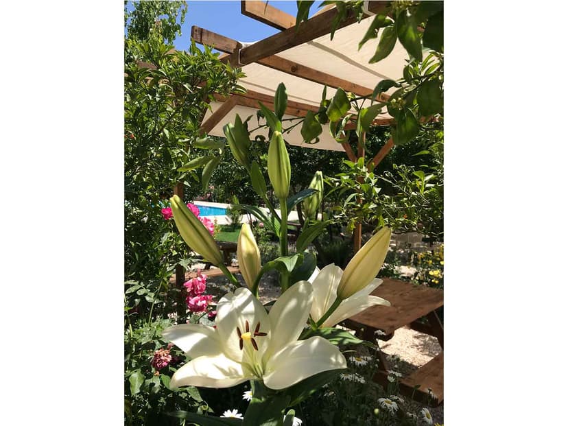 Poolside lounge area