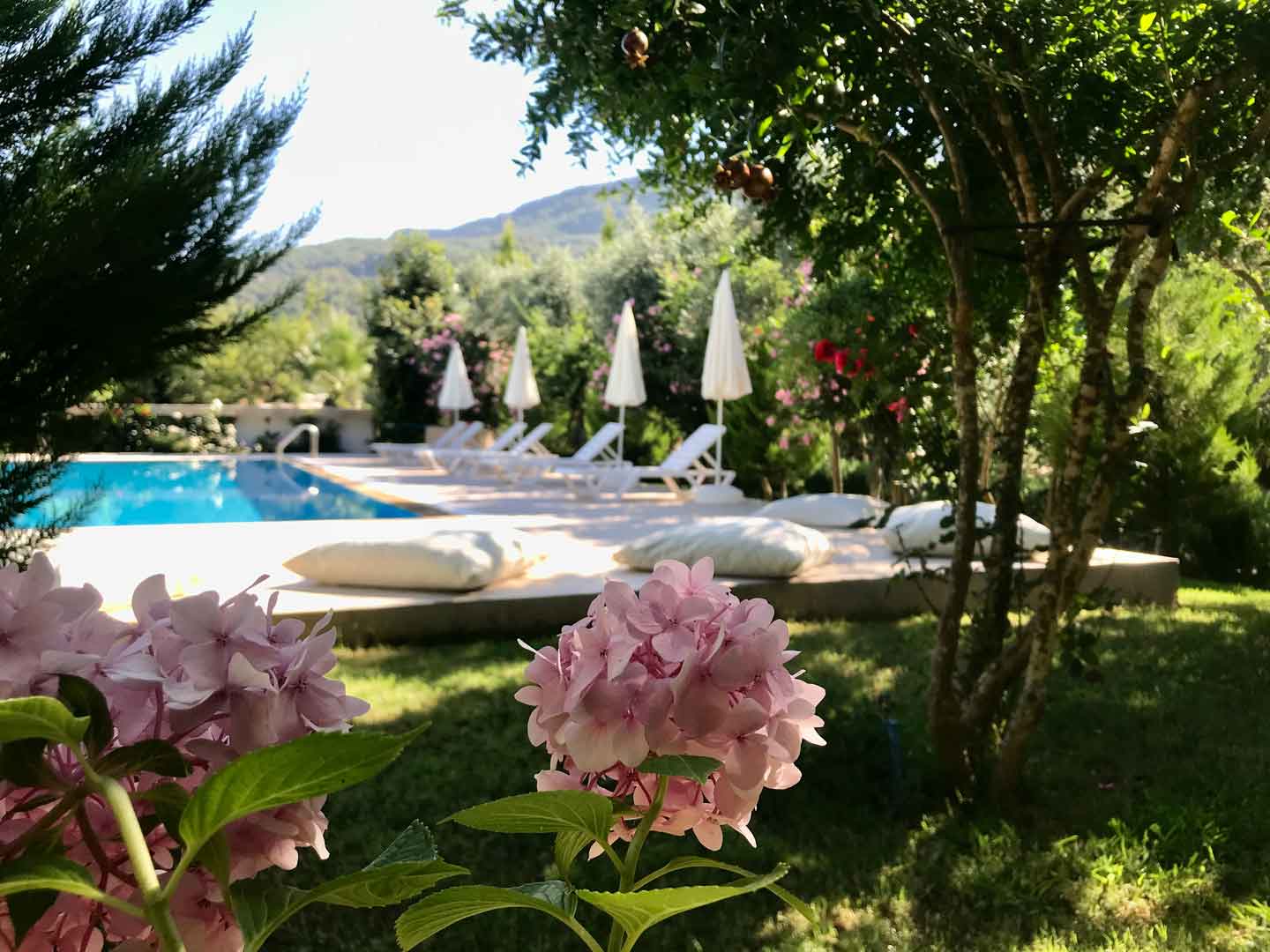 Person in water at sunset